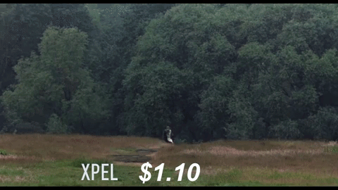 Xpel shares treading water