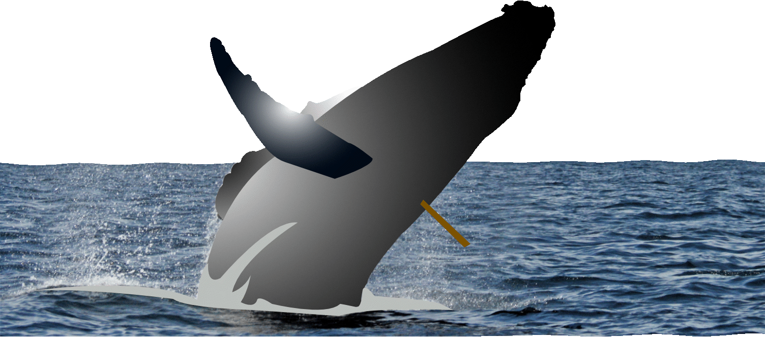 whaleharpoon